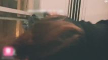 自拍偷拍