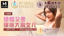 国产传媒