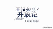 国产传媒
