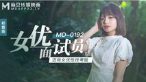 国产传媒