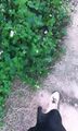 网红主播