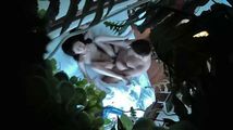 探花系列