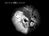 探花系列