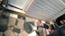 探花系列