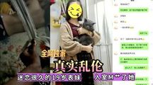 探花系列
