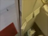 探花系列