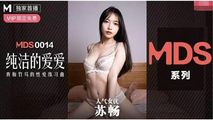 国产传媒