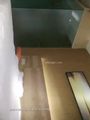 探花系列