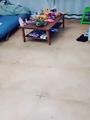 探花系列