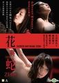 三级伦理