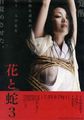 三级伦理
