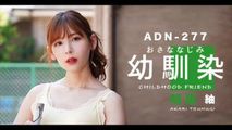 AV解说