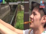 AV解说