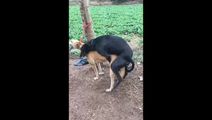 网爆黑料