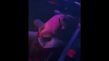 网爆黑料