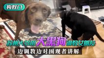 网爆黑料