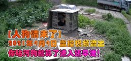 网爆黑料