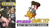 网爆黑料
