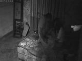 网爆黑料