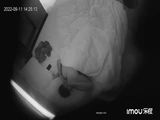 网爆黑料