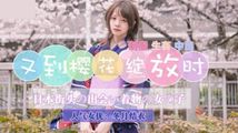 鲍鱼