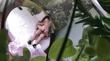 国产自拍