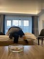 国产自拍