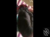 国产自拍