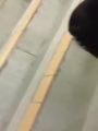 国产自拍