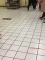 国产自拍