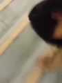 国产自拍