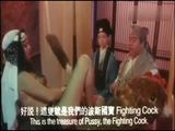 三级伦理
