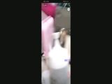 抖音视频
