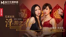 国产传媒