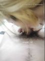 美女主播