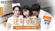 国产传媒