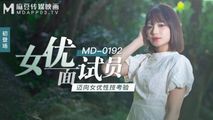 国产传媒