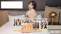 探花系列