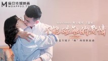 国产传媒