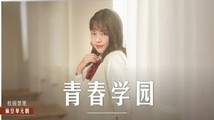 国产传媒