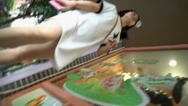 探花系列