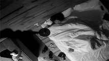 探花系列