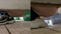 探花系列