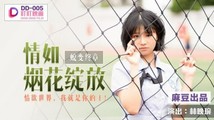国产传媒