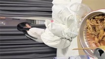 探花系列