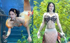 王丸丸美人鱼