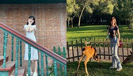 宦雅昕