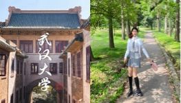 沈曼琳