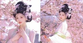 秦清芯