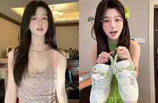 小豚豚豚鼠